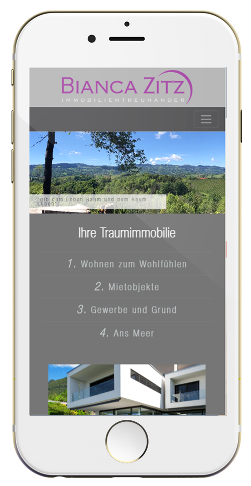 Handy Vorschau 1