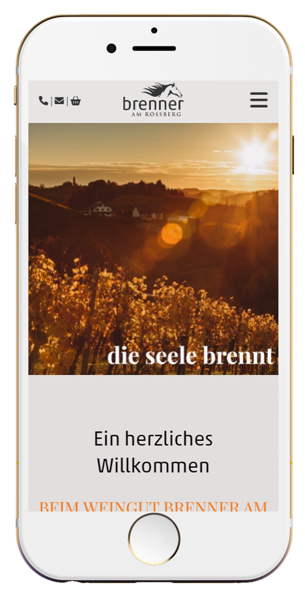 Handy Vorschau 1