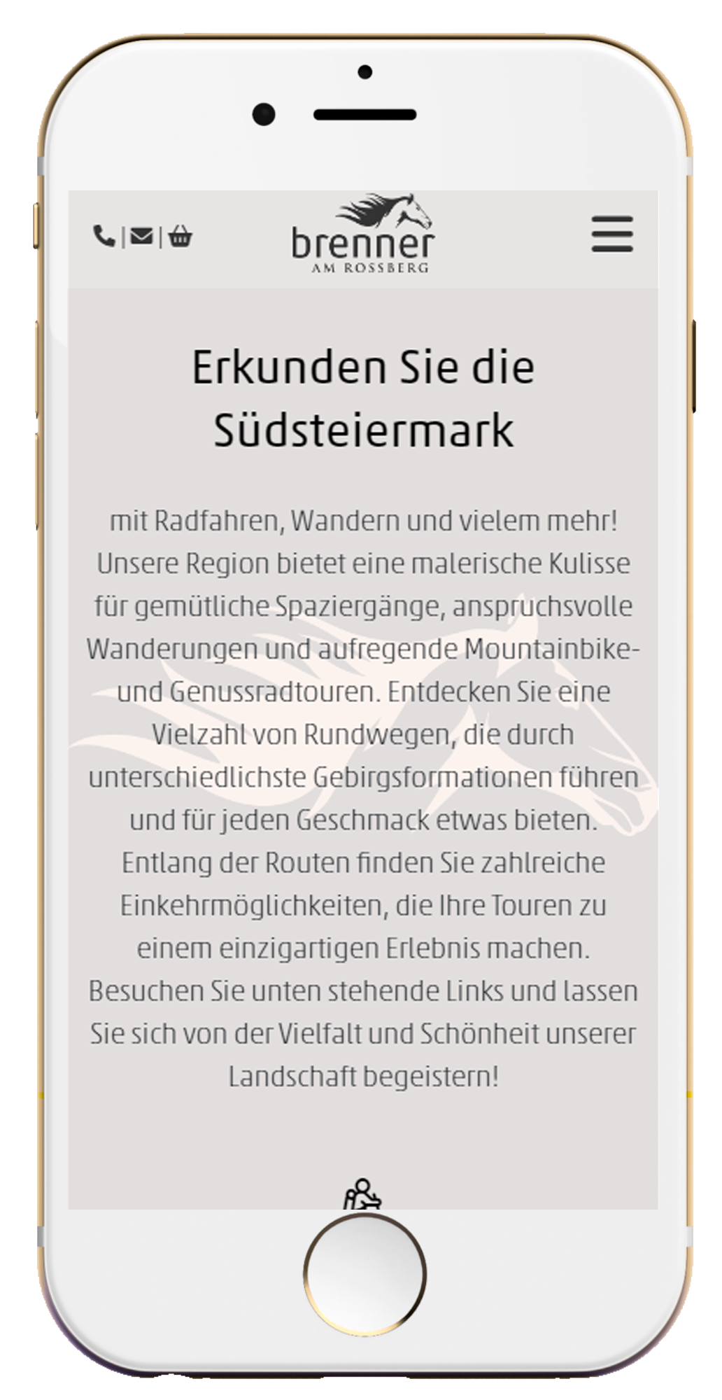 Handy Vorschau 4