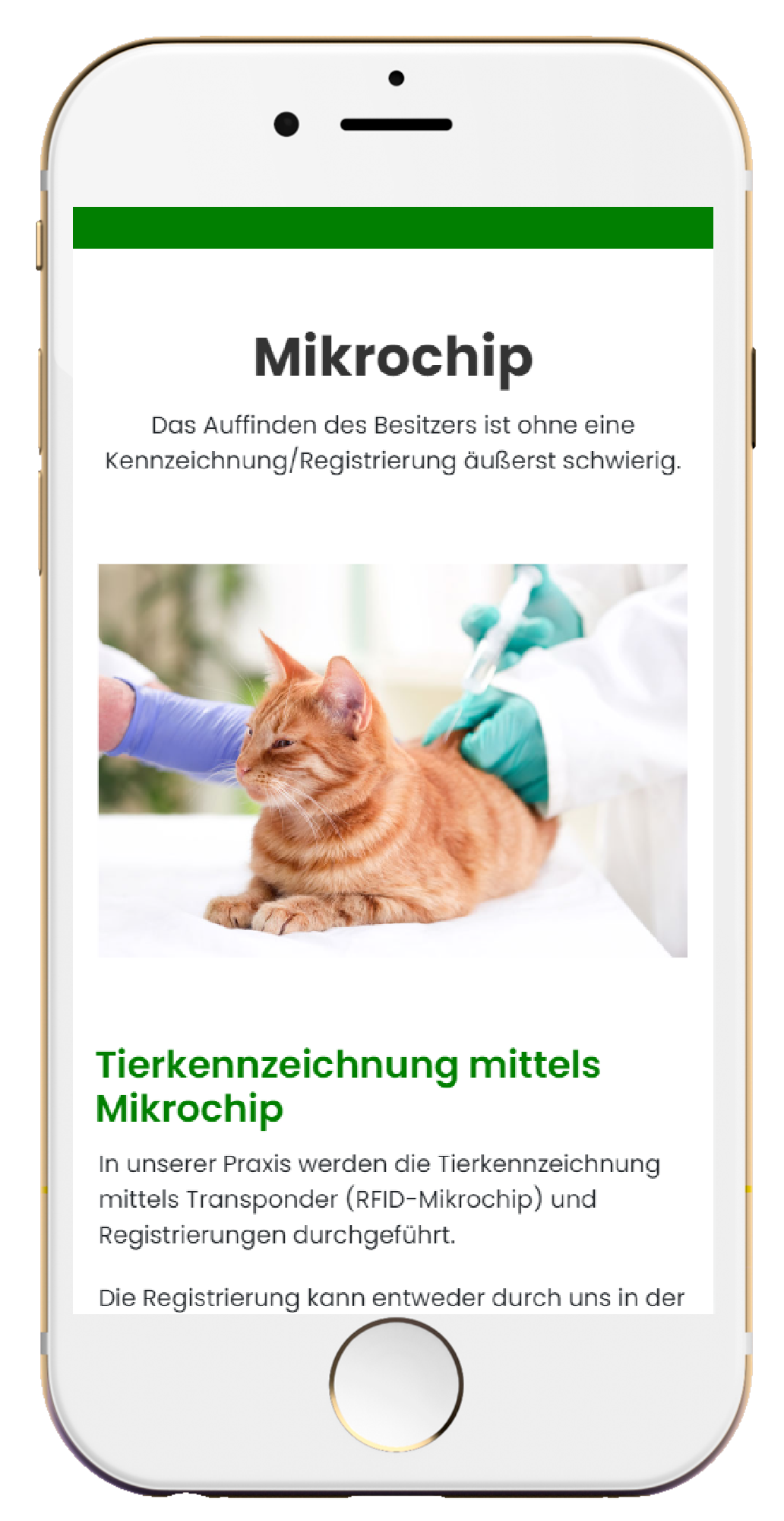 Handy Vorschau 3
